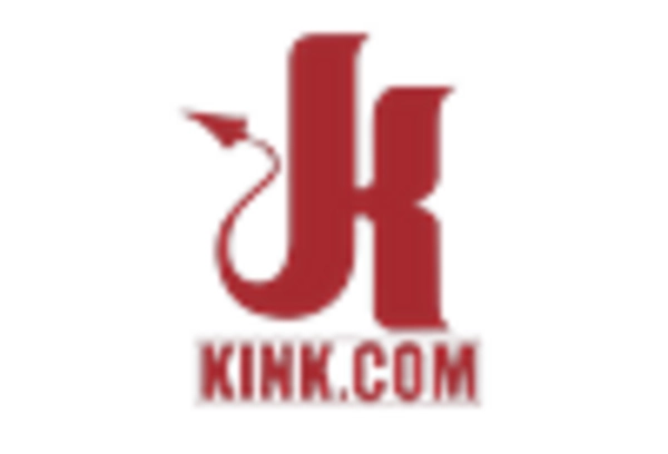 BDSM Sex Toys Market key player