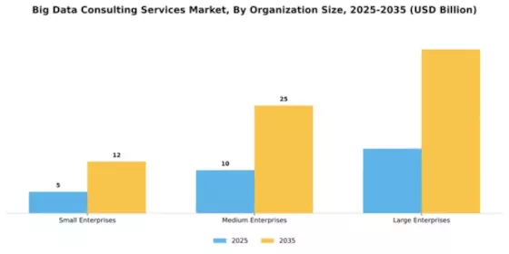 Big Data Consulting Services Market Segment Image 3