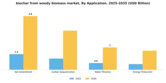 Biochar From Woody Biomass Market Segment Image 0