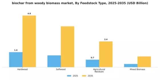 Biochar From Woody Biomass Market Segment Image 2