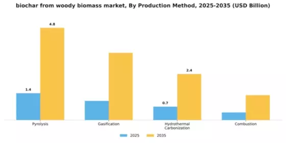 Biochar From Woody Biomass Market Segment Image 4