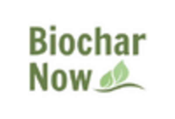 Biochar From Woody Biomass Market key player