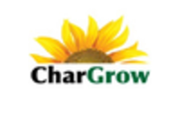 Biochar From Woody Biomass Market key player