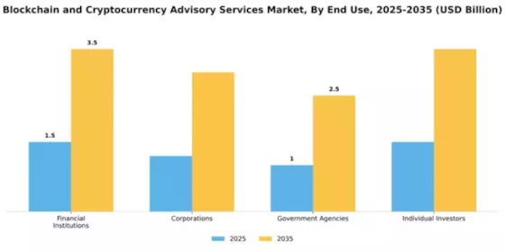 blockchain-and-cryptocurrency-advisory-services-market Segment Image 2