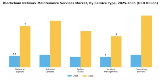 Blockchain Network Maintenance Services Market Segment Image 3