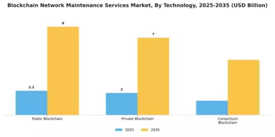 Blockchain Network Maintenance Services Market Segment Image 4