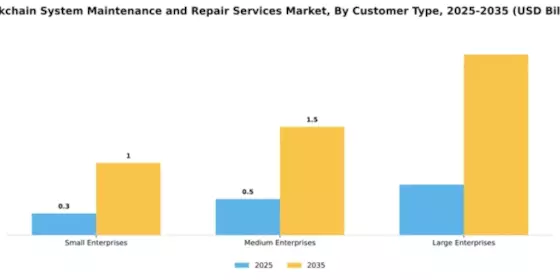 Blockchain System Maintenance and Repair Services Market Segment Image 1