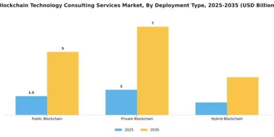 Blockchain Technology Consulting Services Market Segment Image 1