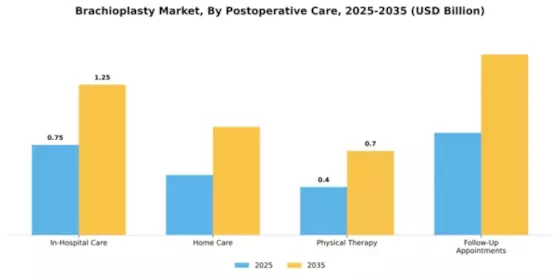 brachioplasty-market Segment Image 1