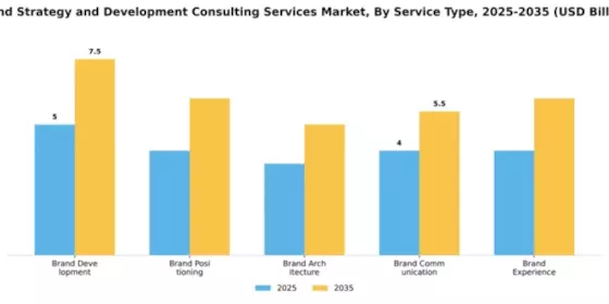 brand-strategy-and-development-consulting-services-market Segment Image 2