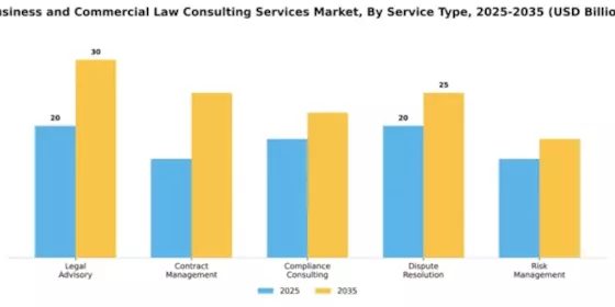 Business and Commercial Law Consulting Services Market Segment Image 2