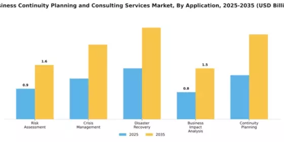 Business Continuity Planning and Consulting Services Market Segment Image 0