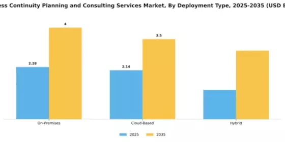 Business Continuity Planning and Consulting Services Market Segment Image 1