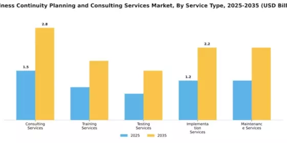 Business Continuity Planning and Consulting Services Market Segment Image 4