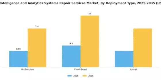 Business Intelligence and Analytics Systems Repair Services Market Segment Image 2