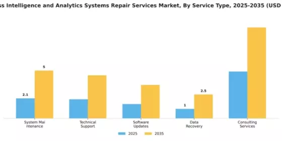 Business Intelligence and Analytics Systems Repair Services Market Segment Image 4