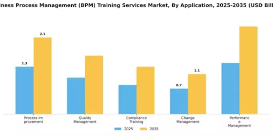 Business Process Management (BPM) Training Services Market Segment Image 0
