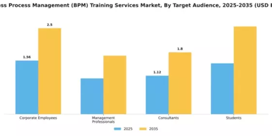 Business Process Management (BPM) Training Services Market Segment Image 3