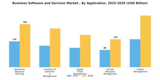 Business Software and Services Market Segment Image 0