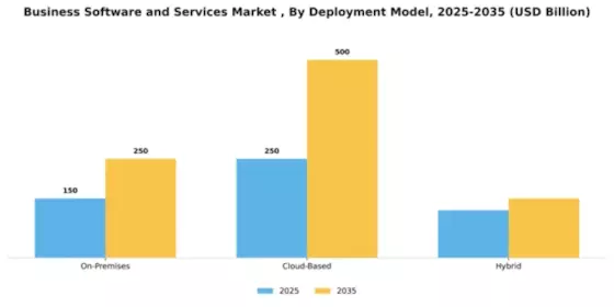 Business Software and Services Market Segment Image 1