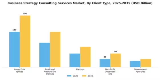 Business Strategy Consulting Services Market Segment Image 0