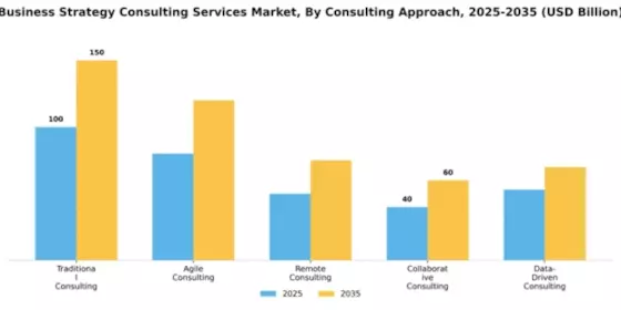 Business Strategy Consulting Services Market Segment Image 1
