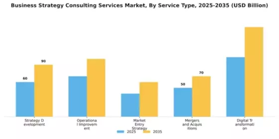 Business Strategy Consulting Services Market Segment Image 3