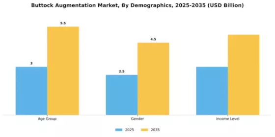 Buttock Augmentation Market Segment Image 1