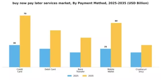 Buy Now Pay Later Services Market Segment Image 3