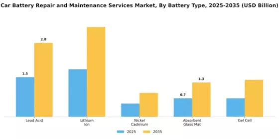 Car Battery Repair and Maintenance Services Market Segment Image 1