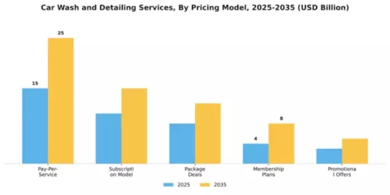 Car Wash and Detailing Services Market Segment Image 1