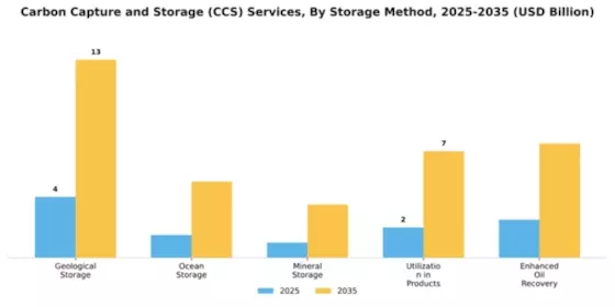 Carbon Capture and Storage (CCS) Services Market Segment Image 3