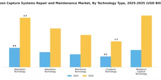 Carbon Capture Systems Repair and Maintenance Market Segment Image 3