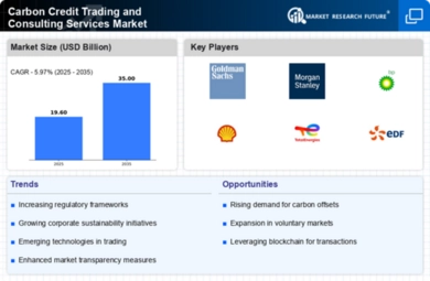 Carbon Credit Trading and Consulting Services Market Infographic