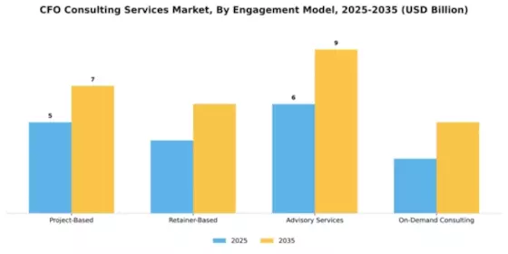 CFO Consulting Services Market Segment Image 1