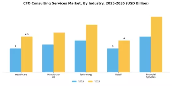CFO Consulting Services Market Segment Image 3