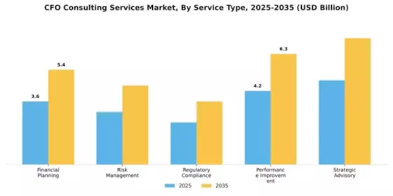 CFO Consulting Services Market Segment Image 4