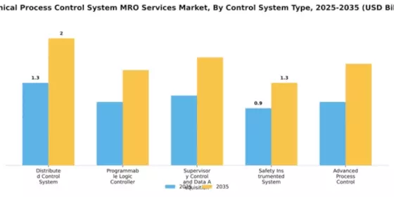 Chemical Process Control System MRO Services Market Segment Image 1