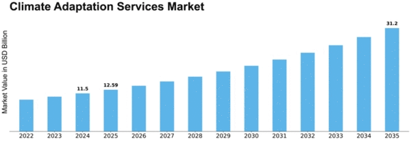 Climate Adaptation Services Market Size