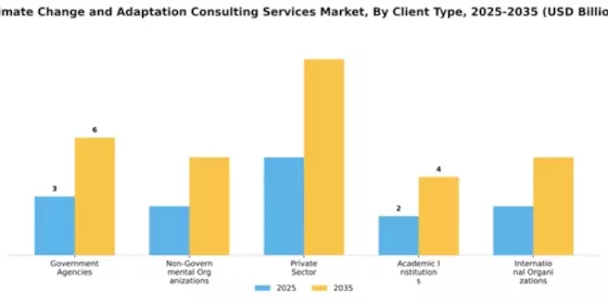 Climate Change and Adaptation Consulting Services Market Segment Image 1