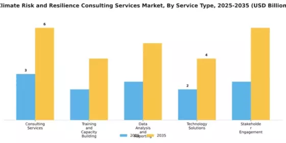 Climate Risk and Resilience Consulting Services Market Segment Image 4