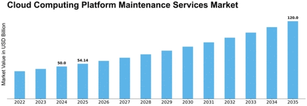 Cloud Computing Platform Maintenance Services Market Size