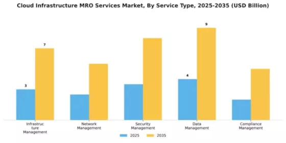 Cloud Infrastructure MRO Services Market Segment Image 3