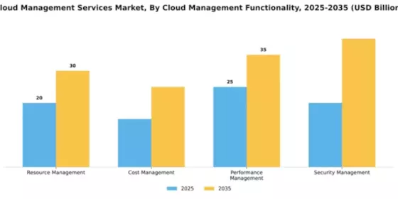 Cloud Management Services Market Segment Image 0