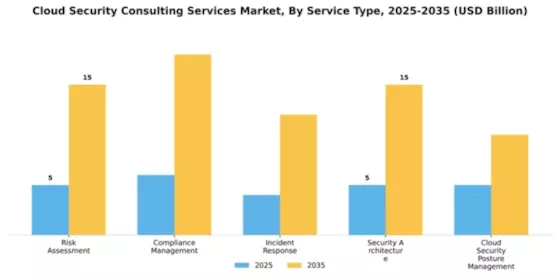 Cloud Security Consulting Services Market Segment Image 4