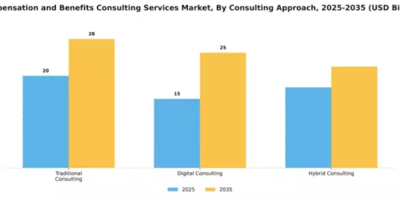 Compensation and Benefits Consulting Services Market Segment Image 1