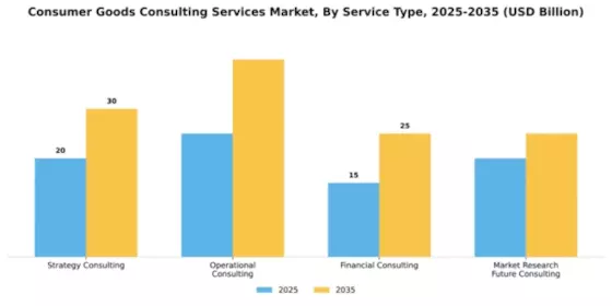 Consumer Goods Consulting Services Market Segment Image 3