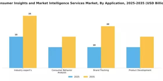 Consumer Insights and Market Intelligence Services Market Segment Image 0