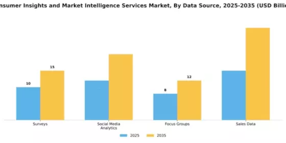 Consumer Insights and Market Intelligence Services Market Segment Image 1