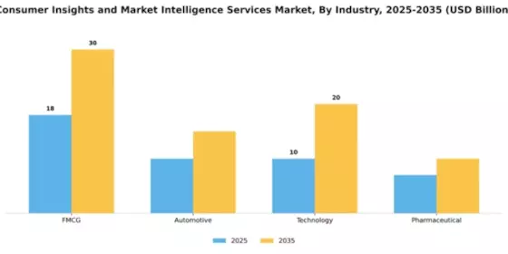 Consumer Insights and Market Intelligence Services Market Segment Image 3